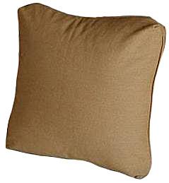Throw Pillow 16 inch